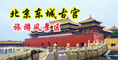 日本大鸡巴进入骚逼啪啪啪视频中国北京-东城古宫旅游风景区